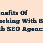 Benefits Of Working With Best B2b Seo Agencies